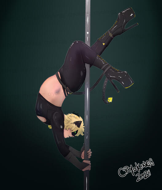 Pole Noir